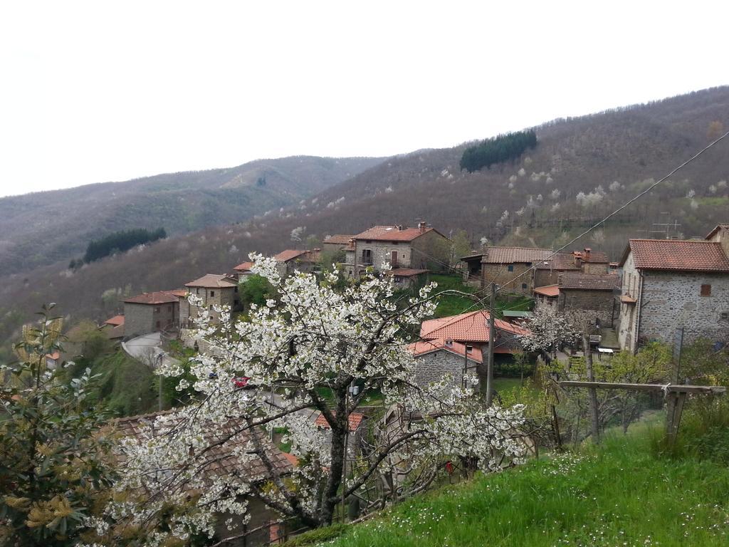 Il Borgo Dei Corsi - Charming Holiday Apartments Ortignano Raggiolo Bagian luar foto